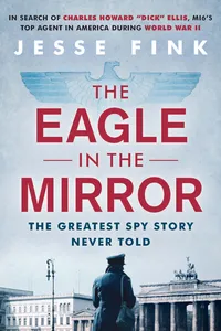 The Eagle in the Mirror_cover