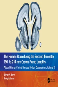 The Human Brain during the Second Trimester 190– to 210–mm Crown-Rump Lengths_cover