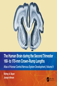 The Human Brain during the Second Trimester 160– to 170–mm Crown-Rump Lengths_cover