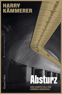 Absturz_cover