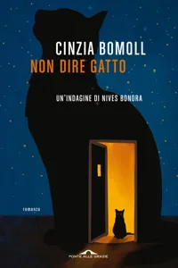 Non dire gatto_cover