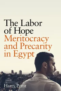 The Labor of Hope_cover