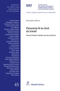 Panorama IV en droit du travail_cover