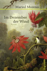 Im Dezember der Wind_cover