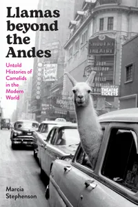 Llamas beyond the Andes_cover