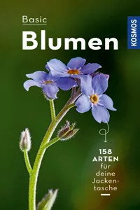 BASIC Blumen_cover