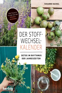 Der Stoffwechsel-Kalender_cover