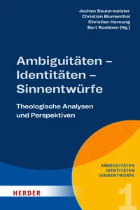 Ambiguitäten – Identitäten – Sinnentwürfe_cover