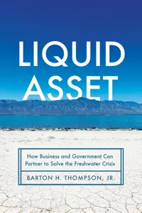 Liquid Asset_cover