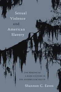 Sexual Violence and American Slavery_cover