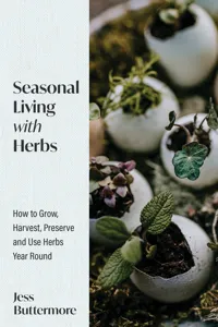 Seasonal Living with Herbs_cover