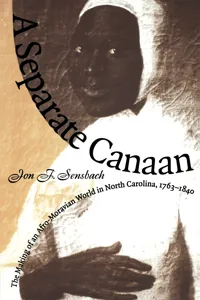 A Separate Canaan_cover