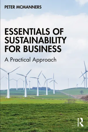 Essentials of Sustainability for Business