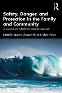 Safety, Danger, and Protection in the Family and Community_cover