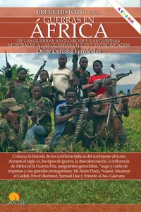 Breve historia de las guerras en África_cover