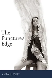 The Puncture's Edge_cover