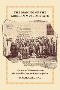 Princeton Studies in Muslim Politics_cover