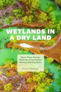Wetlands in a Dry Land_cover