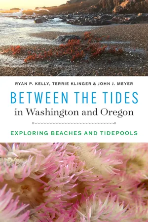 Between the Tides in Washington and Oregon