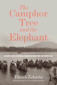 The Camphor Tree and the Elephant_cover