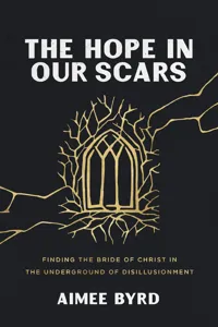 The Hope in Our Scars_cover