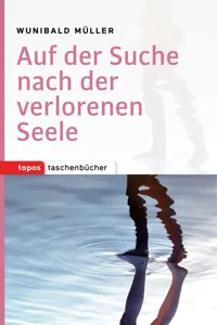 Auf der Suche nach der verlorenen Seele_cover