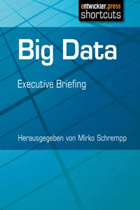 Big Data_cover