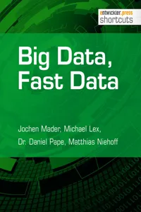 Big Data, Fast Data_cover