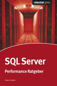 SQL Server Performance-Ratgeber_cover