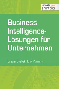 Business-Intelligence-Lösungen für Unternehmen_cover