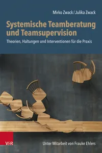 Systemische Teamberatung und Teamsupervision_cover