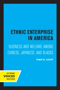Ethnic Enterprise in America_cover
