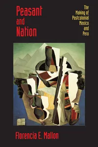 Peasant and Nation_cover