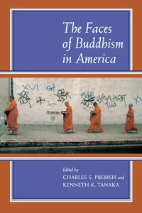 The Faces of Buddhism in America_cover