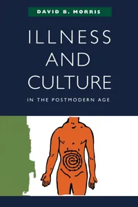 Illness and Culture in the Postmodern Age_cover