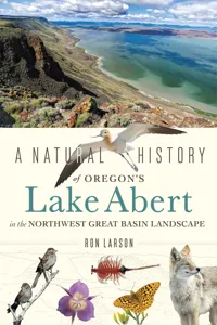 A Natural History of Oregon's Lake Abert in the Northwest Great Basin Landscape_cover