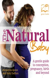 The Natural Baby_cover