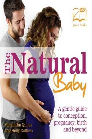 The Natural Baby