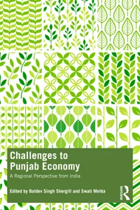 Challenges to Punjab Economy_cover