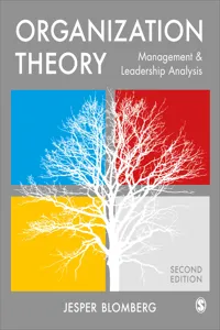 Organization Theory_cover