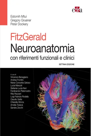 Fitzgerald Neuroanatomia