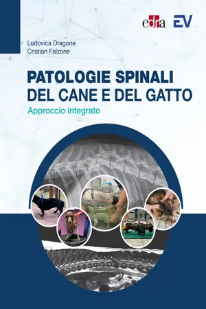 Patologie spinali del cane e del gatto