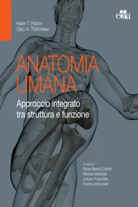 Anatomia umana_cover