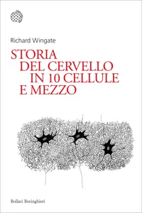 Storia del cervello in 10 cellule e mezzo_cover