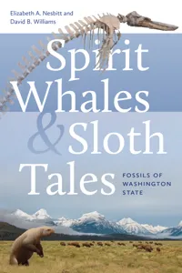 Spirit Whales and Sloth Tales_cover