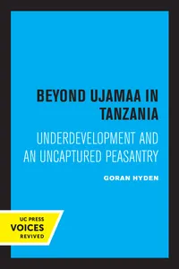 Beyond Ujamaa in Tanzania_cover