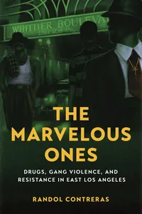 The Marvelous Ones_cover