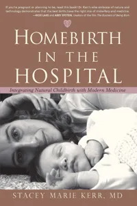 Homebirth in the Hospital_cover