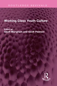 Working Class Youth Culture_cover