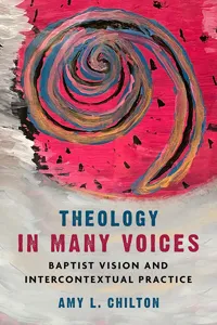 Theology in Many Voices_cover